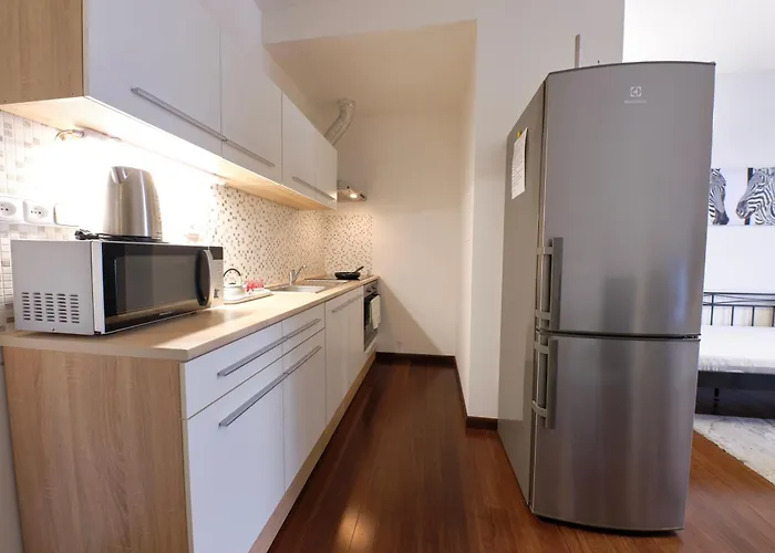 Rezidence Moser Apartment Karlovy Vary