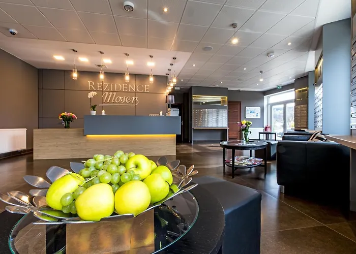 Rezidence Moser Apartment *